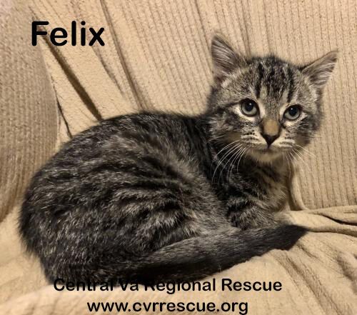 Felix